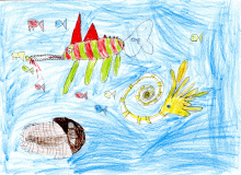 leben im meer